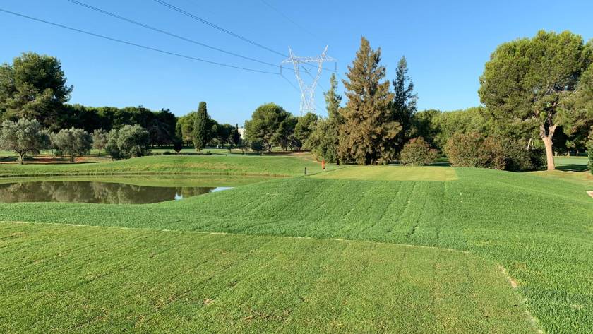 Reforma-Tees-8-lagos-10