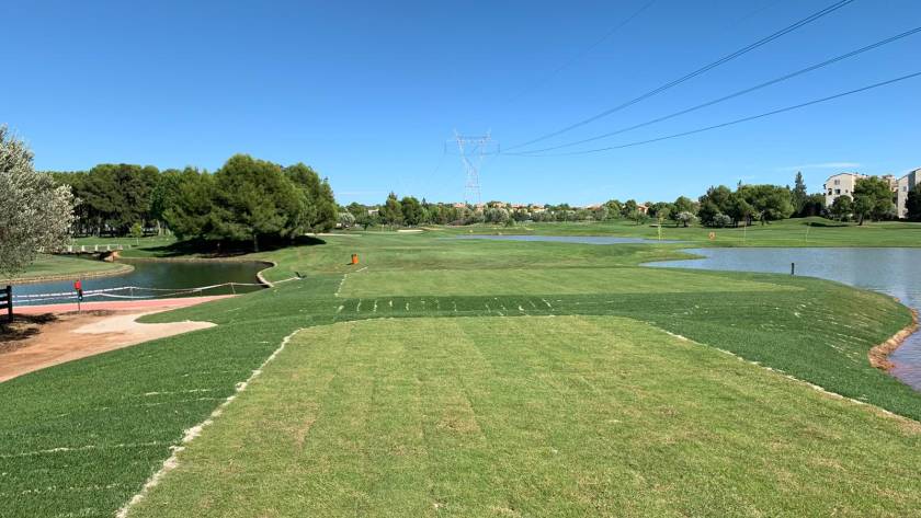 Reforma-Tees-8-lagos-8