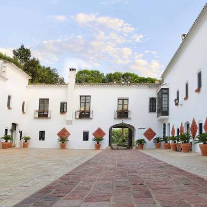 home-zigzag-01-opt_EP_5861_INTENSO